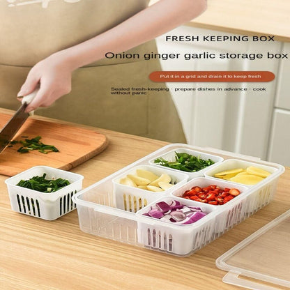 6 Grid Fridge Storage Box – Multi-Compartment Organizer (Pack of 1)