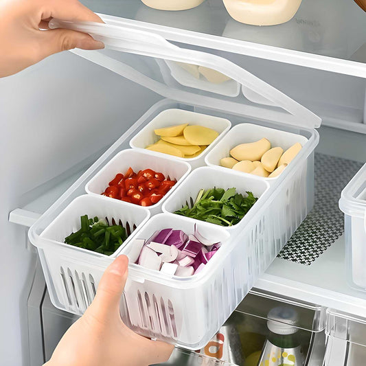 6 Grid Fridge Storage Box – Multi-Compartment Organizer (Pack of 1)