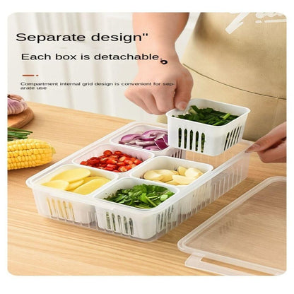 6 Grid Fridge Storage Box – Multi-Compartment Organizer (Pack of 1)